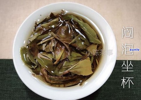 普洱茶能闷泡吗？如何正确闷泡普洱茶？