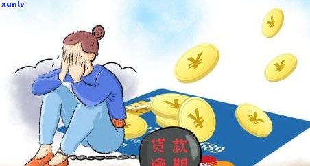 银行停息挂账的法律法规：全面解析与规定