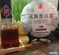 45秒快速学会如何包普洱茶饼：东教你 *** 好喝又好看的茶饼