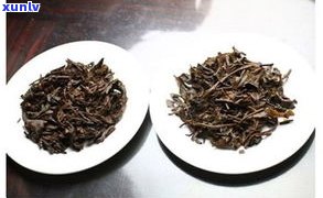 南檽山普洱茶特点-南檽山老茶厂