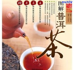 普洱茶的架子：用途、图片与分类全解析