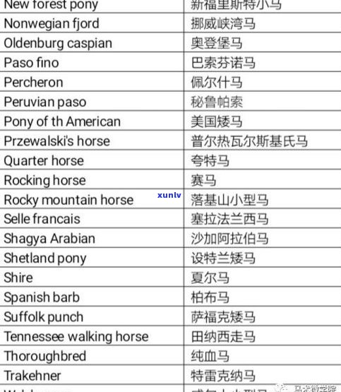 普洱茶品种介绍：图片全览，详细解析与大全汇总