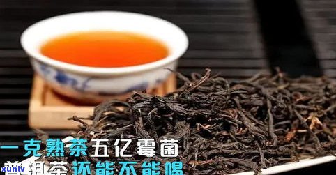 熟普洱茶的特别腥味让人无法忽视