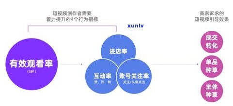 直播卖普洱茶的话术：有效提升销售额的关键策略