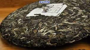 熟普洱茶饼有香味正常吗？了解普洱熟茶饼的气味与香气变化