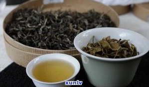 紫金芽是否属于普洱茶？探讨其分类与特性