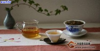 深入了解：普洱茶主要分为哪几个茶区？