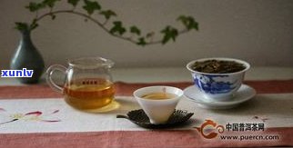 堪比弯的普洱茶：品种、、口感全解析