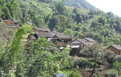 普洱茶最贵的山头-普洱茶最贵的山头是哪里