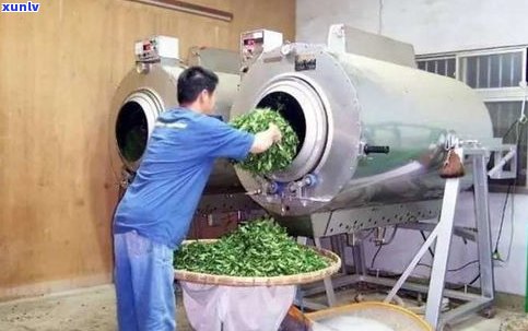 福州普洱茶生产厂-福州普洱茶生产厂家