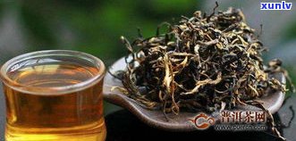 昆明哪里买普洱茶？找正宗、价物美的好去处！