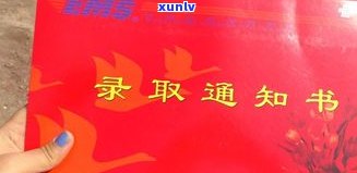 欠债20万：真的能翻身吗？从知乎到实际情况的探讨