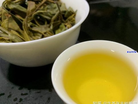 普洱茶里面的内飞-普洱茶里面的内飞是什么