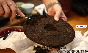 怎么泡普洱茶熟茶茶饼：视频教程与禁忌