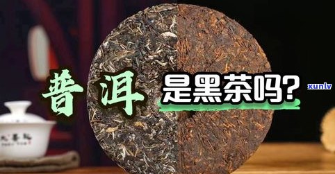 普洱茶里有油吗？熟悉其来源与作用