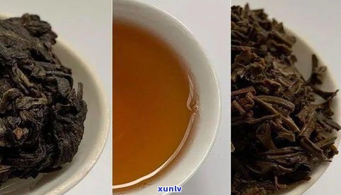 普洱茶对高血脂的作用及功效探究