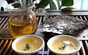 普洱茶的作用功能与主治：详解其功效、用量及特点