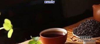 熟普洱茶可以煮吗？怎样煮出好喝的味道？