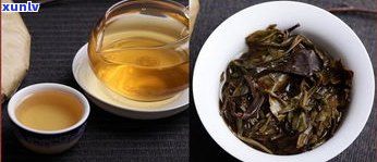 八码的普洱茶-八码的普洱茶是什么