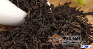 普洱茶用多少度水泡？影响口感与品质的因素解析