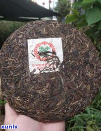 99绿大树普洱茶-99绿大树普洱茶简介