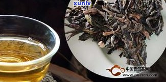 盘点：口碑的十大普洱茶，一网打尽！