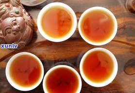 熟普洱与生普洱哪个更能有效降低血脂？探讨普洱茶的降脂功效