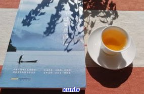 普洱茶玩家：从入门到精通，玩转普洱茶的全方位指南