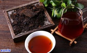 感受勐海小贡饼普洱茶的魅力：价格、口感与全解析