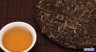 普洱茶怎么泡才能香甜好喝？