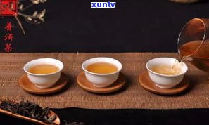 普洱茶适合什么杯型喝？选择正确杯型提升品茗体验