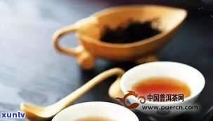 减肥用什么普洱？比较最适合的普洱茶选择