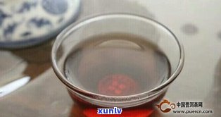 普洱茶茶虫解决  ：怎样彻底清除并安全饮用