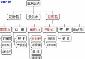 普洱茶出时间、快慢与是否需开的影响