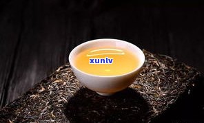 普洱茶里有虫能喝吗？探讨其安全性和影响因素