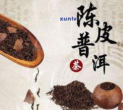 秋天午后喝普洱茶可以吗？立秋后的好处与女生、减肥的相关性