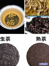 20年普洱茶口感：熟茶与生茶的区别及其功效