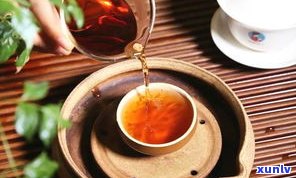 小青柑普洱茶的功效、作用及价格全解析 - 朕宗茗茶