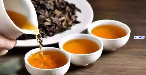 云南普洱茶生产基地：位置、种类与地址全揭秘