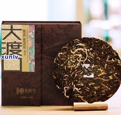 云南普洱茶茶厂：排名、编号与十大推荐