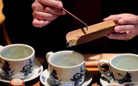 孕妇中期可以喝普洱茶吗？熟茶对胎儿有何影响？