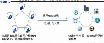 普洱茶消费群体分析：年龄、特点与数据探究