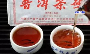 普洱茶工艺与品质特点全面解析