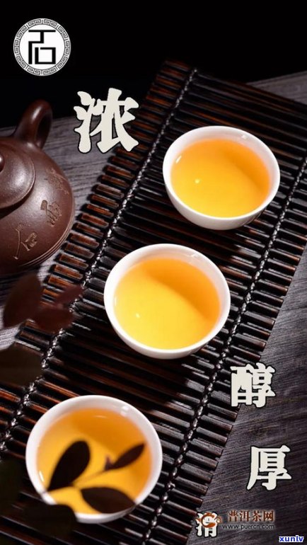 普洱茶工艺与品质特点全面解析