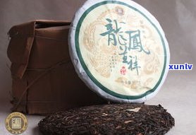 深入解析：普洱茶工艺与品质的区别及联系