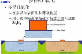 普洱茶工艺标准详解：内容、流程全面解析