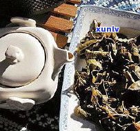 鑫群普洱茶价格-鑫群茶质量