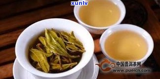  *** 普洱茶哪家好- *** 普洱茶哪家好喝