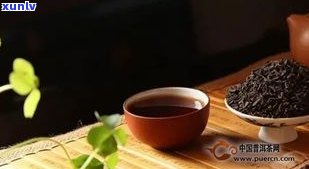 7岁小孩喝普洱茶-7岁小孩喝普洱茶好吗