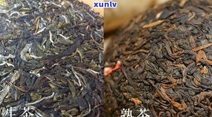 普洱茶外国产区分-普洱茶外国产区分品种
